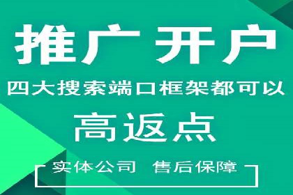 SEM服务托管实战：案例分析及策略探讨